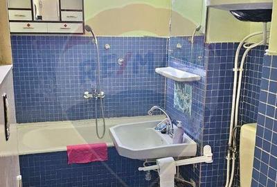 Apartament doua camere Gura Campului Medias - 9