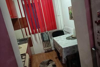 Apartament cu 2 camere semidecomandat în Craiovița Nouă - 2
