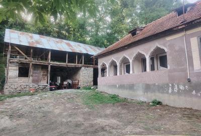 Casă cu 3 camere cu Teren 4000 Mp în Urseiu - 10