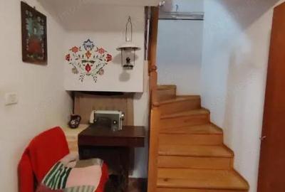 Casa superba in Saliste de Beius - 5