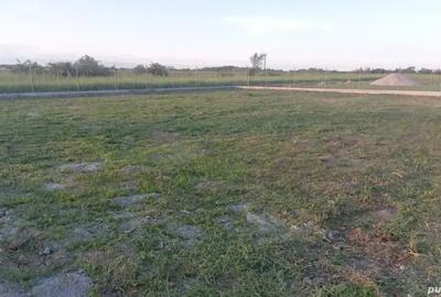 Teren de 500 mp, în Albota - 8