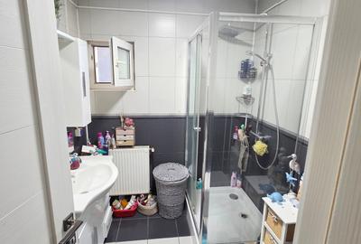 Voluntari, Andronache, vila P+1+M renovata, curte amenajata Voluntari, Andronache, vila P+1+M renovata, curte amenajata - 6