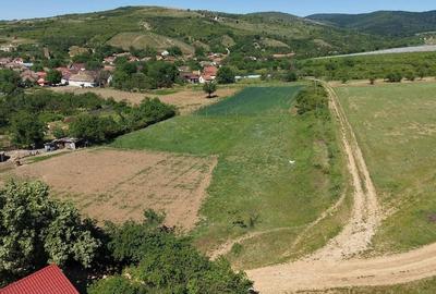 Teren de 928 mp, în Covăsinț - 5
