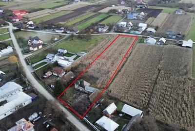 Casa de vanzare in Com Fratautii Noi - 1