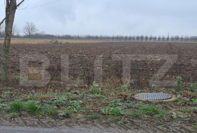 Teren intravilan de vanzare, 2.500 mp, Str Gorunului - 2