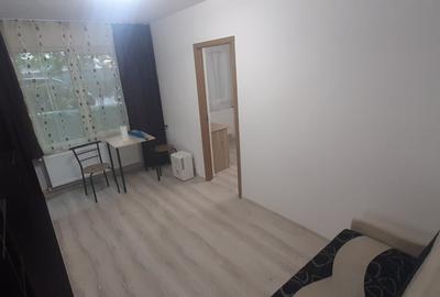 Apartament cu 2 camere nedecomandat, mobilat în Tătărași - 5