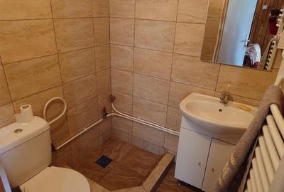 Cabana si teren in Bucuresci, Hunedoara - 6