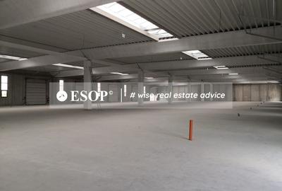 Hale industriale, parc modern, Rudeni, Chitila, Ilfov- ID 15462 Hale industriale, parc modern, Rudeni, Chitila, Ilfov- ID 15462 - 16