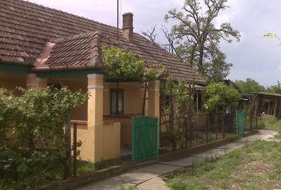 De vânzare casa Barateaz - 3