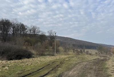 Teren de 600 mp, în Corunca - 2