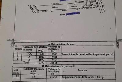 Casă cu Teren 3377 Mp în Central - 1