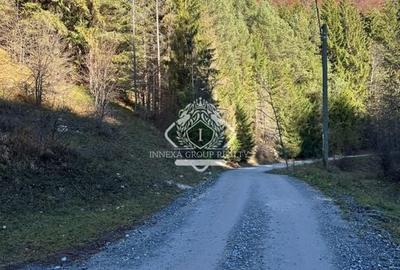 Teren 2.882 mp – oportunitate investitie - Cheile Dâmbovicioarei - 14