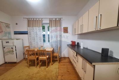 Doua case de vanzare in aceeasi curte, in zona Sub Arini - 2