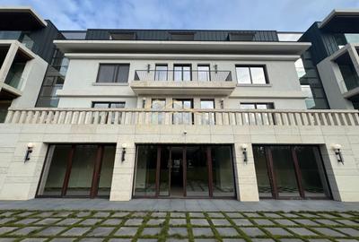 Spațiu comercial, de 376 mp, în Kiseleff - 13