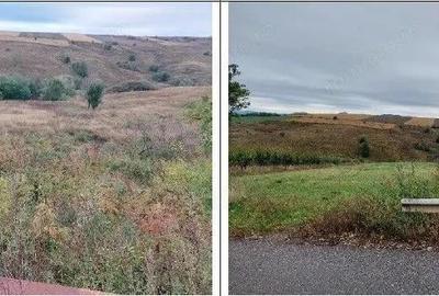 Teren extravilan pasune Ardeoani, ID: R2404618 - 1