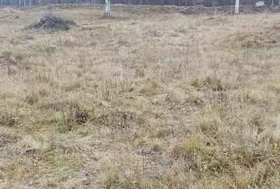 Teren de 10000 mp, în Lepșa - 1