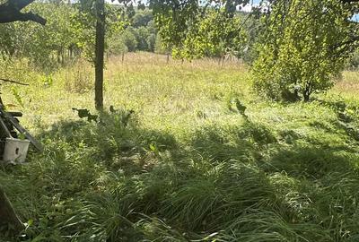 Casa de vacanta in zona deosebita- Ozun - 1