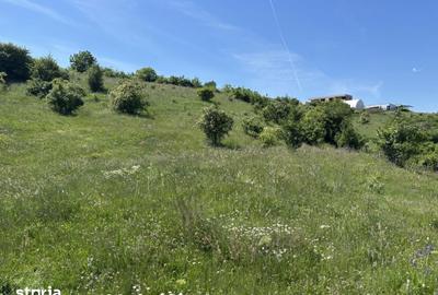Teren de 900 mp, în Apahida