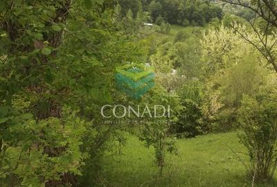 Teren de 800 mp, în Central - 11