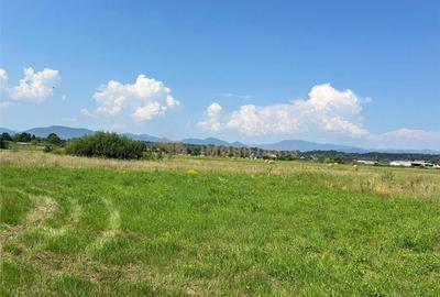 Teren de 800 mp, în Coltău - 1