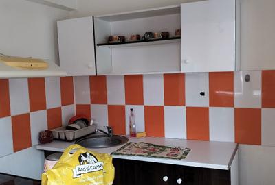 Garsonieră semidecomandată în Lacu - 3