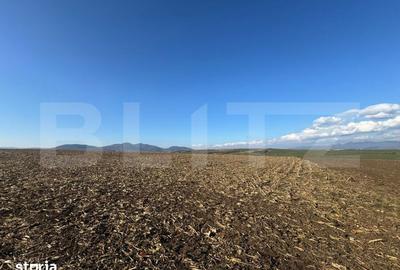 Teren de 5700 mp, în Central - 2