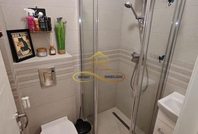 Apartament cu 3 camere decomandat, mobilat în Nord - 19