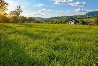Teren de 5750 mp, în Ibănești - 4