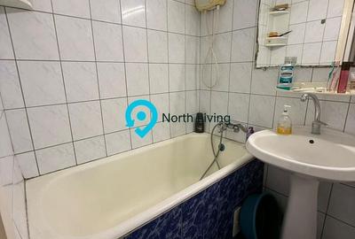 Apartament cu 3 camere semidecomandat în Ozana - 25