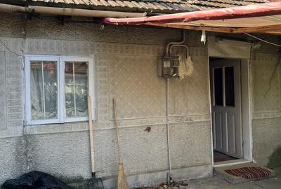 Sat Tatarai, zona Scrovistea - 1