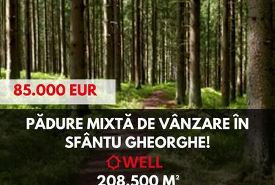 Teren de 208500 mp, în Central - 3
