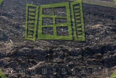 Teren agricol extravilan de 1569 mp, în Exterior Vest - 3