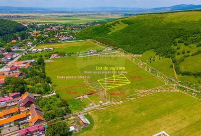 Teren Construcții intravilan de 612 mp, în Zizin - 4