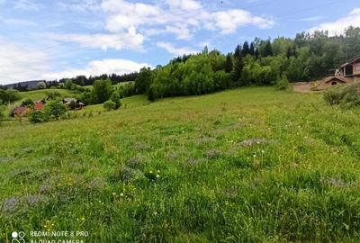 TEREN INTRAVILAN 4000 MP DE VANZARE - VATRA DORNEI - 5