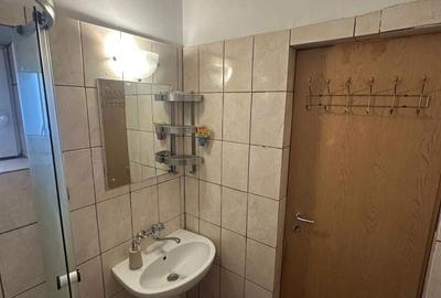 Garsonieră Baba Novac, terasă mare proprie, parc IOR, pet friendly - 5