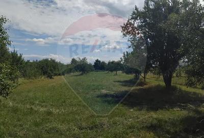 Teren de vanzare in Tautii-Magheraus / Strada 66 - 1