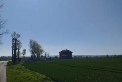 Vand teren intravilan 4000MP cu dechidere la Delta Neajlovu - 2