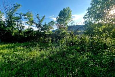 Teren 1,749mp Piatra-Neamt / Strada Zambilelor - 26