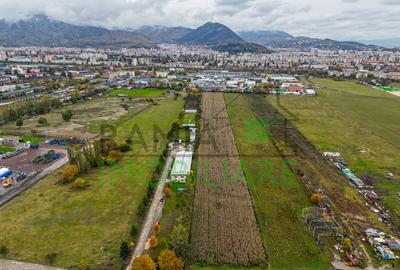 Teren industrial cu potential ridicat - Brasov, Timisul Sec - 4