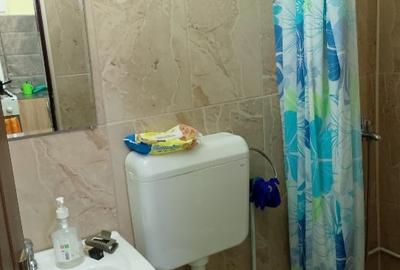 Apartament cu 2 camere decomandat în Exterior Est - 12