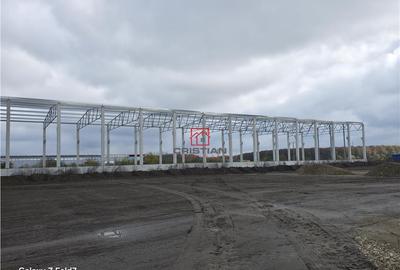 Depozit/hala/spatiu industrial Mogosoaia - Buftea - 4