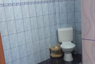 Coiciu, Baba Novac, etaj 1 si 2, nemobilat, gaze, inchirieri - 22