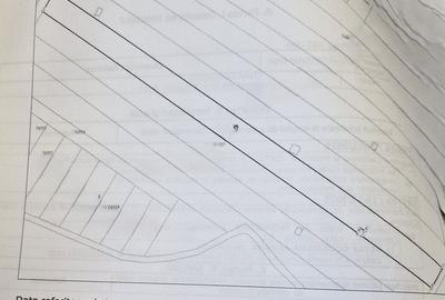 Teren de 5000 mp, în Ulmi - 1