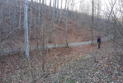 Teren de 4750 mp, în Provița de Sus - 1