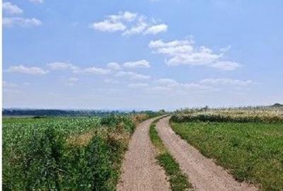 Teren de 1000 mp, în Bosanci - 4