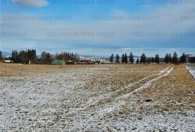 Teren de 11500 mp, în Bartolomeu - 3