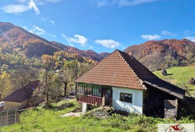 Casa de vanzare in Trampoiele (Zlatna) - 2