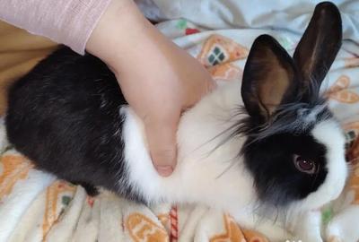 Teren de 30 mp, în Central - 2