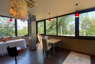 REC3001500 Restaurant de vanzare  Parcul Tineretului - 2