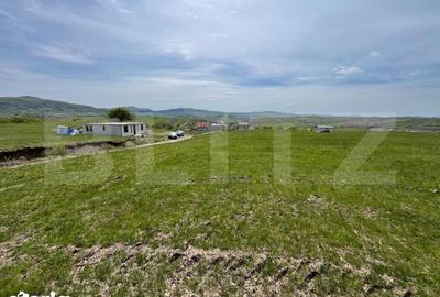 Teren de 5800 mp, în Dumitra - 2